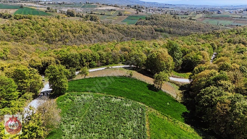 Adapazarı Büyükhataplı Mh. Satılık Doğa Harikası Arazi — fotoğraf 17