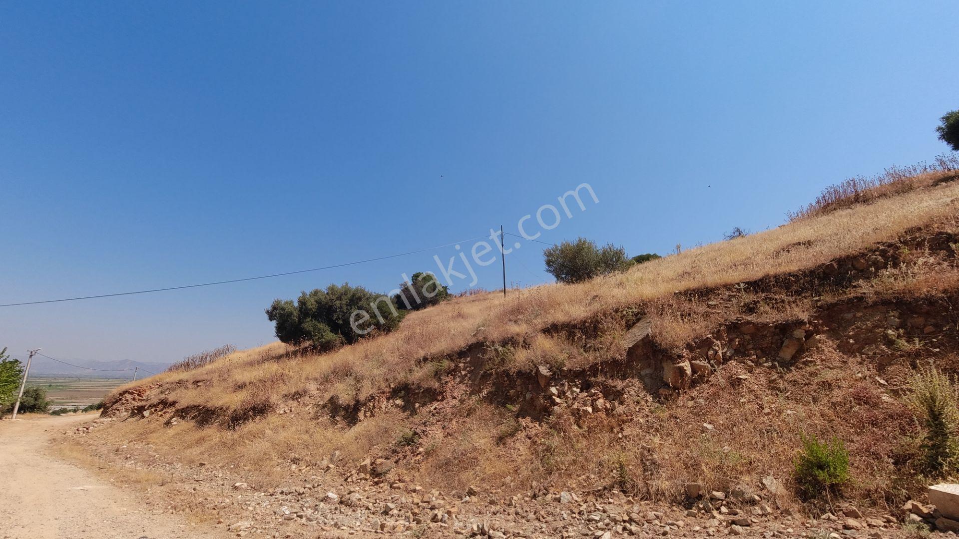 Koçarlı / Gündoğan Mahallesi'nde 256 M2 Villa İmarlı Arsa! — fotoğraf 7