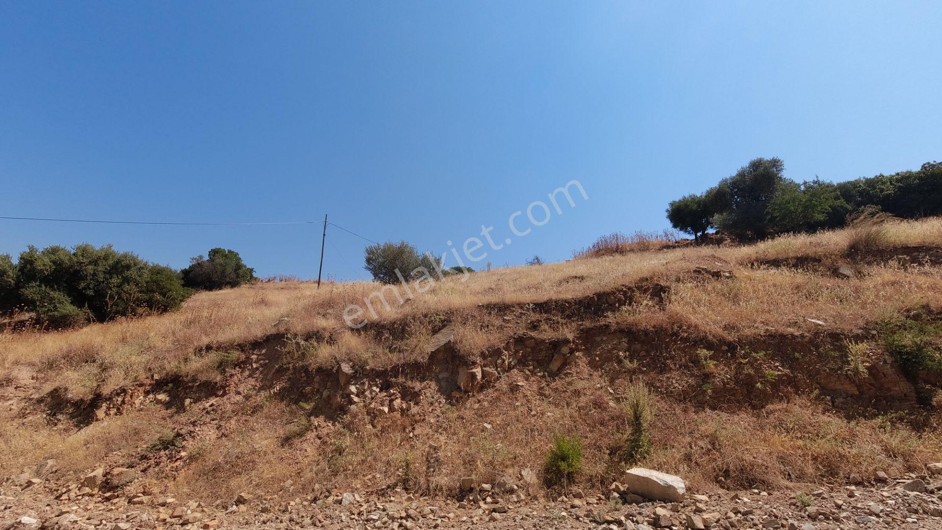 Koçarlı / Gündoğan Mahallesi'nde 256 M2 Villa İmarlı Arsa! — fotoğraf 8