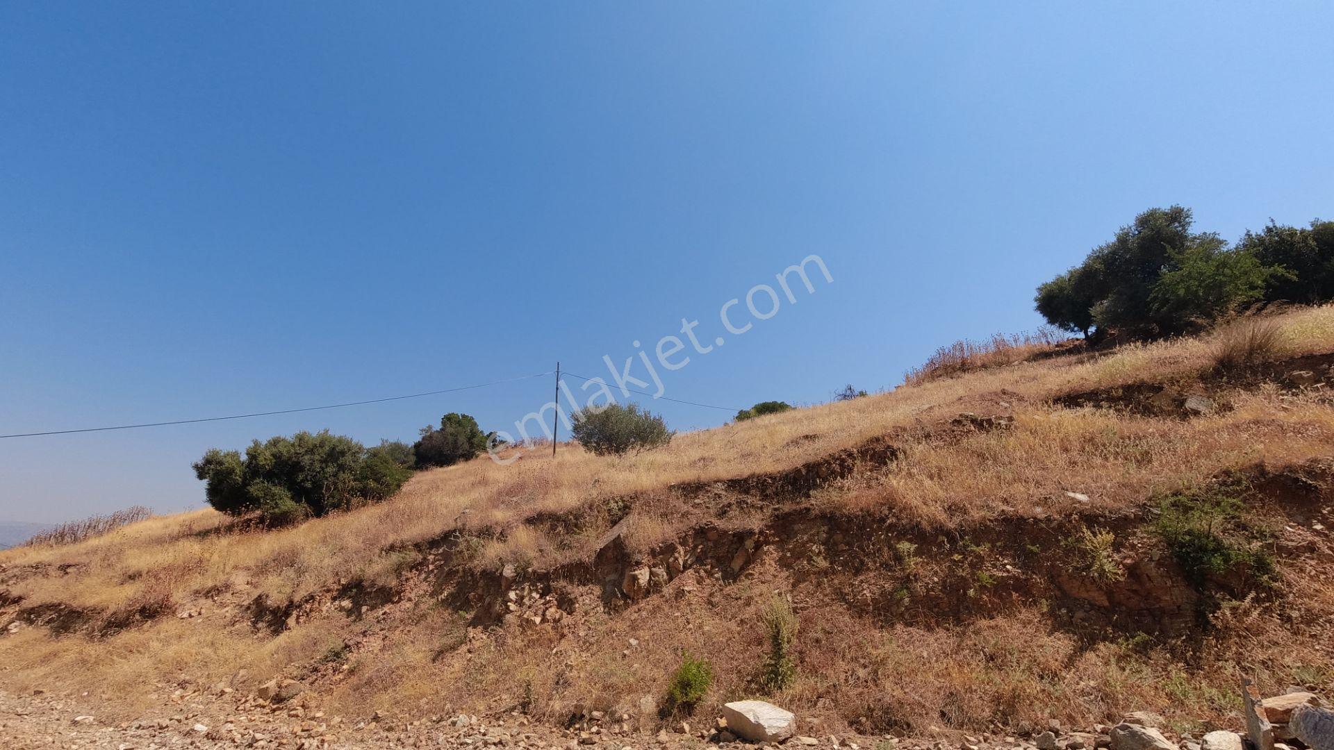 Koçarlı / Gündoğan Mahallesi'nde 256 M2 Villa İmarlı Arsa! — fotoğraf 10