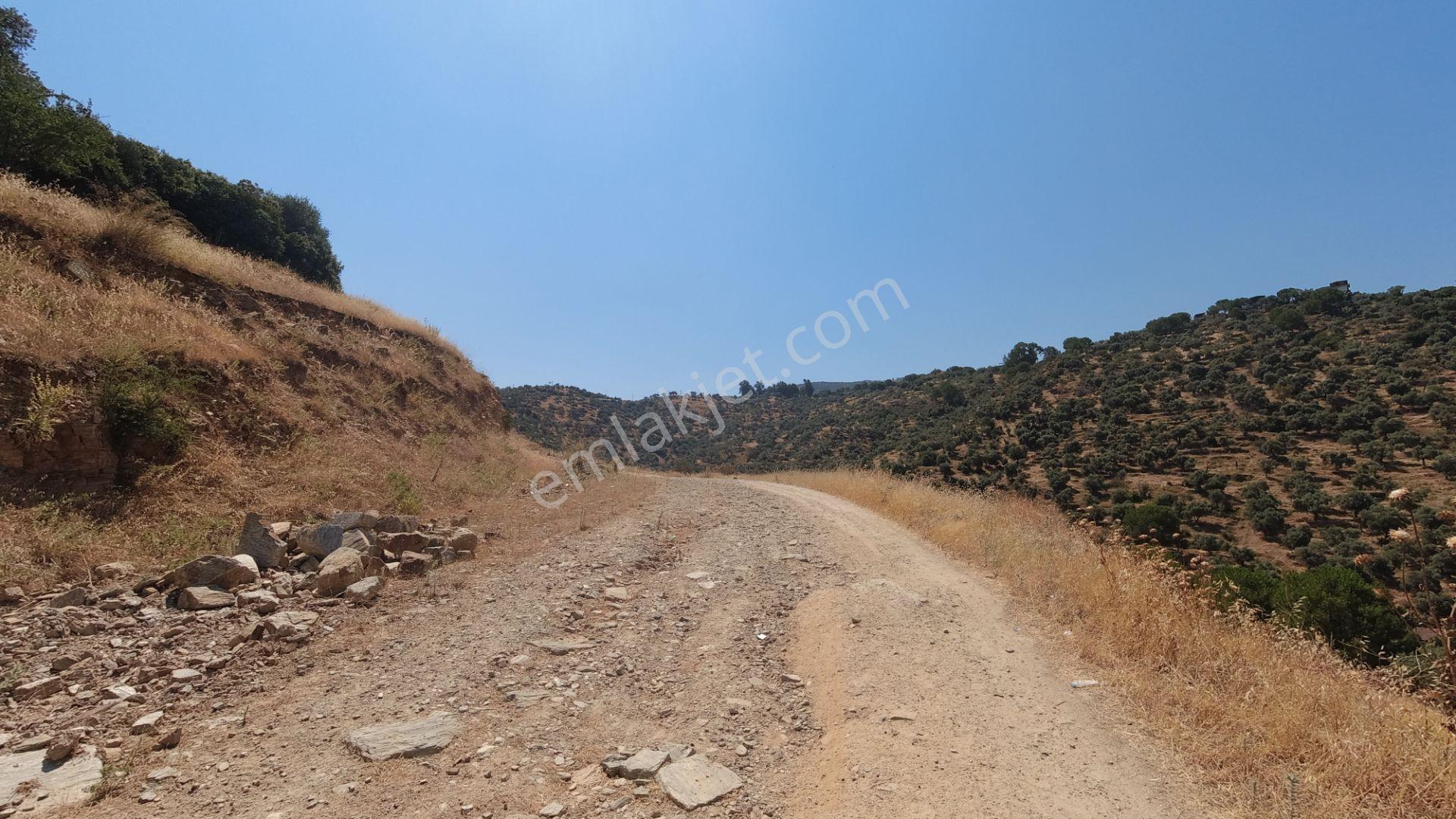 Koçarlı / Gündoğan Mahallesi'nde 256 M2 Villa İmarlı Arsa! — fotoğraf 11