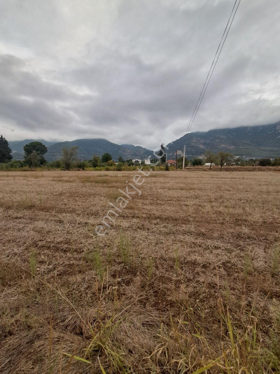 Fethiye Üzümlüde Satılık 1940m2 Arazi — fotoğraf 2