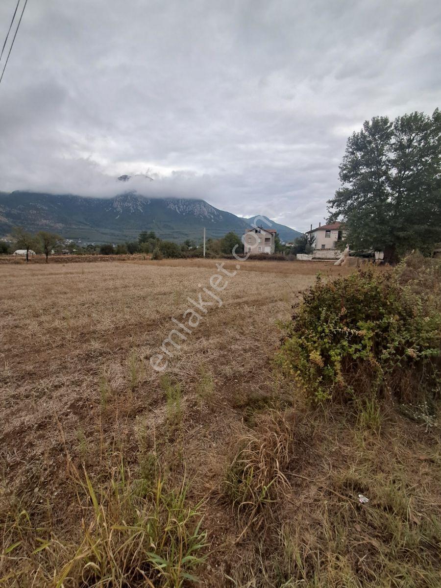 Fethiye Üzümlüde Satılık 1940m2 Arazi — fotoğraf 3