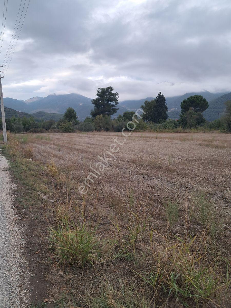 Fethiye Üzümlüde Satılık 1940m2 Arazi — fotoğraf 4