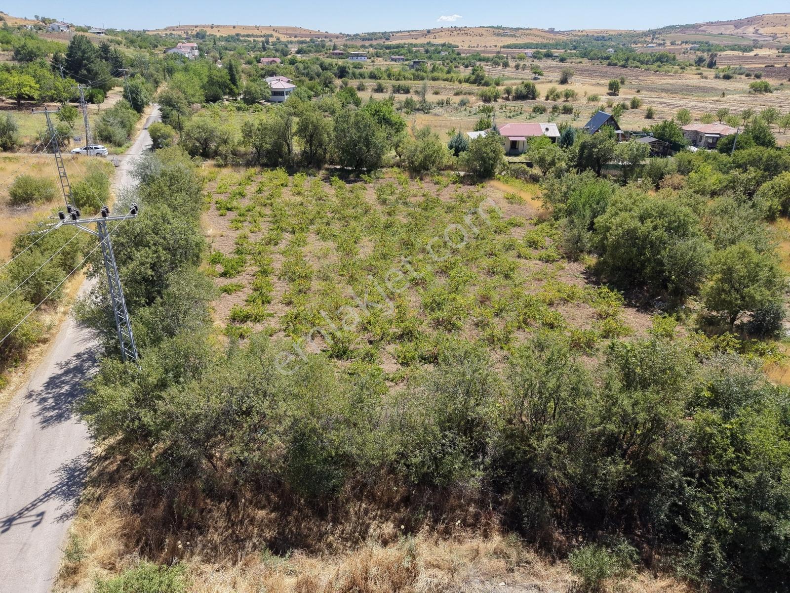 Emre Gm/den Holpenk Demirtaş) Mevkiinde Yolu Asfalt Köşe Parsel — fotoğraf 2