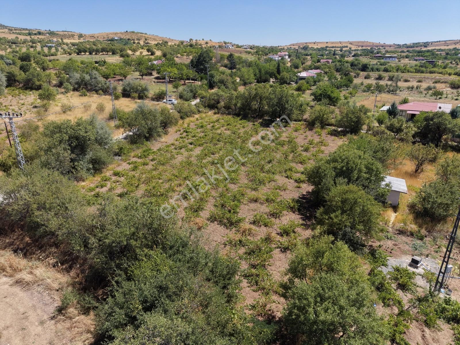 Emre Gm/den Holpenk Demirtaş) Mevkiinde Yolu Asfalt Köşe Parsel — fotoğraf 3