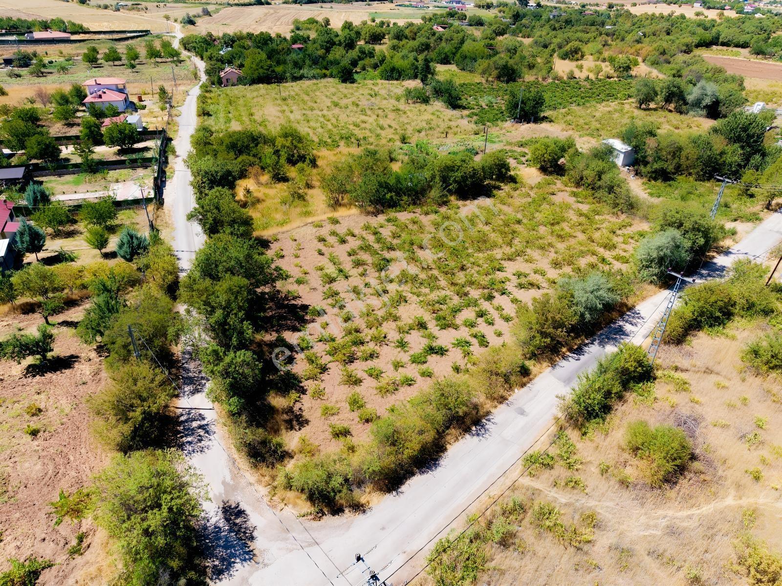 Emre Gm/den Holpenk Demirtaş) Mevkiinde Yolu Asfalt Köşe Parsel — fotoğraf 6