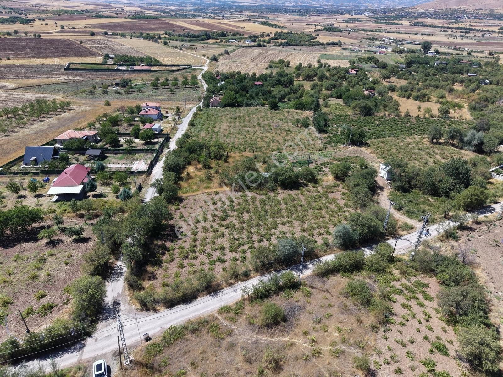 Emre Gm/den Holpenk Demirtaş) Mevkiinde Yolu Asfalt Köşe Parsel — fotoğraf 7