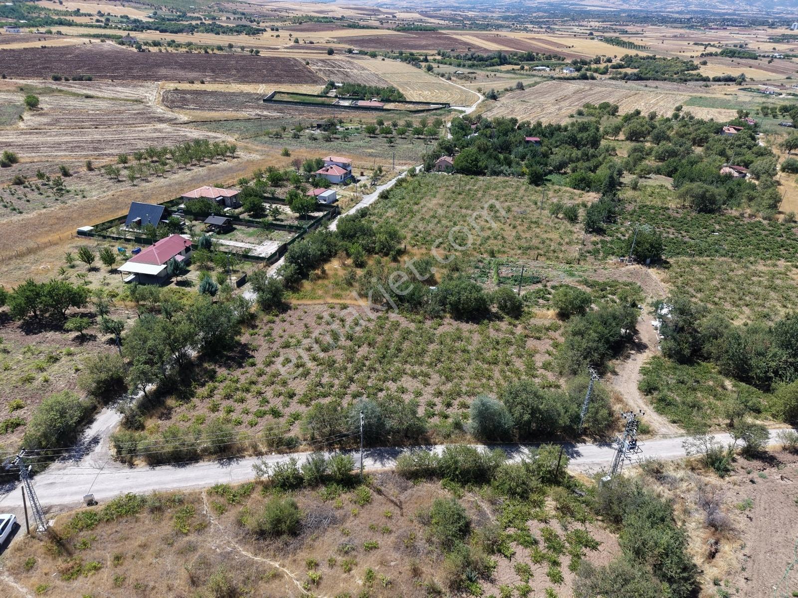 Emre Gm/den Holpenk Demirtaş) Mevkiinde Yolu Asfalt Köşe Parsel — fotoğraf 8