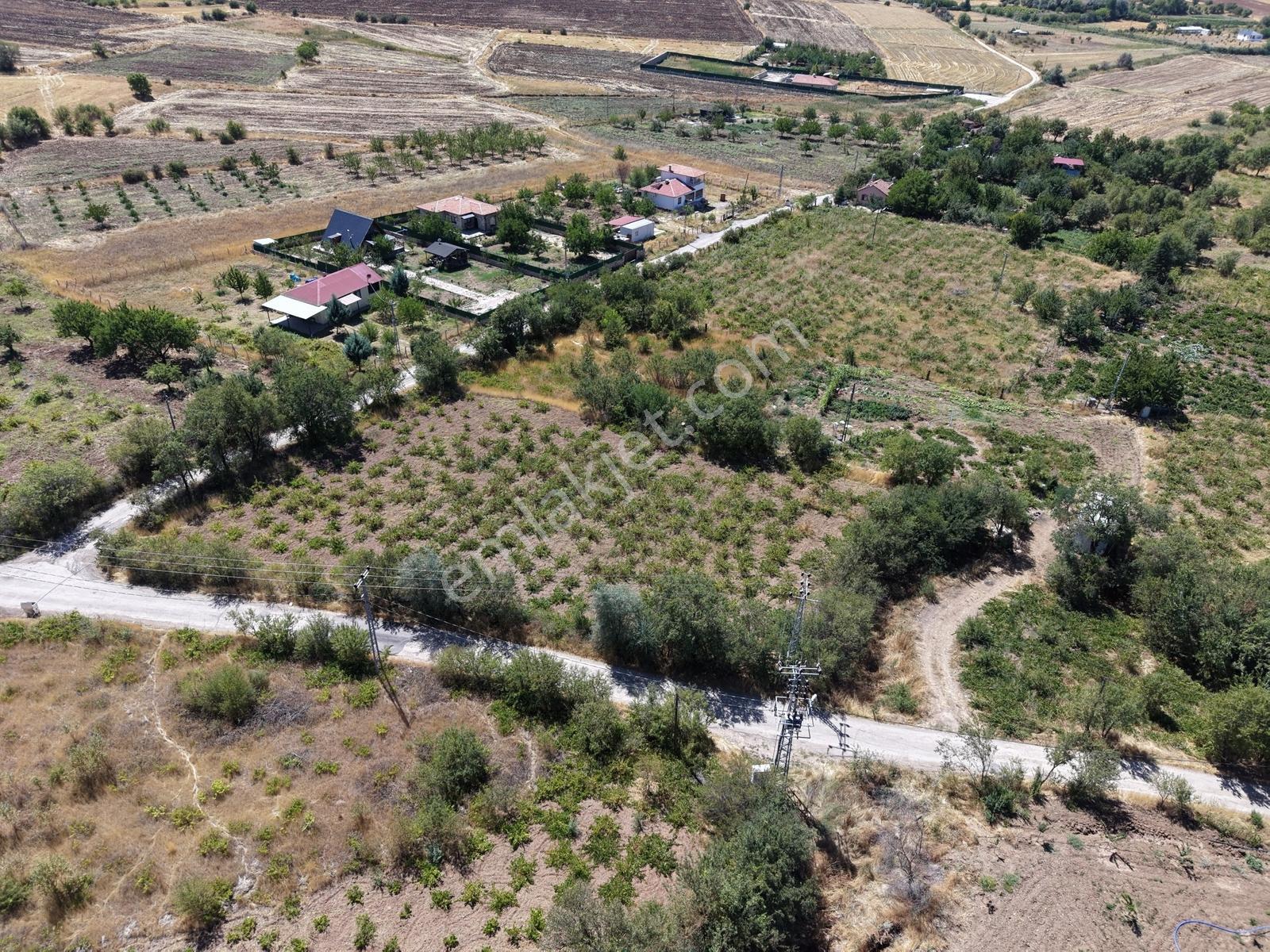 Emre Gm/den Holpenk Demirtaş) Mevkiinde Yolu Asfalt Köşe Parsel — fotoğraf 9