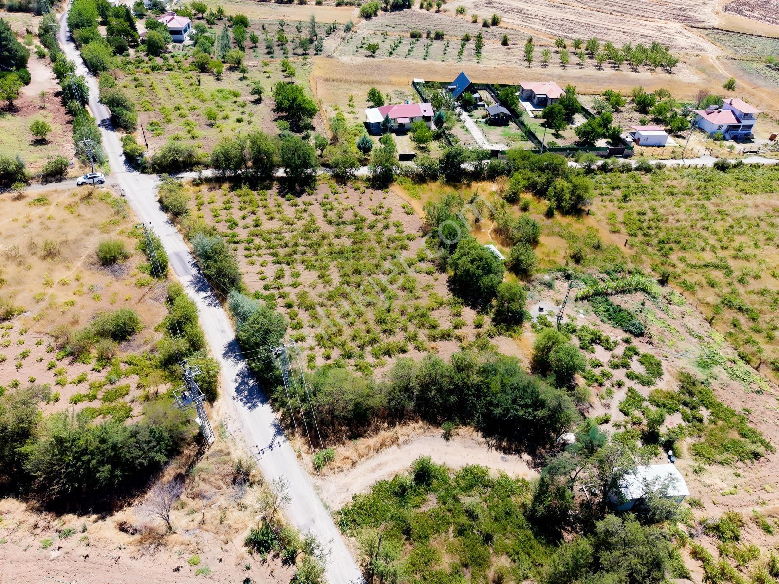 Emre Gm/den Holpenk Demirtaş) Mevkiinde Yolu Asfalt Köşe Parsel — fotoğraf 11