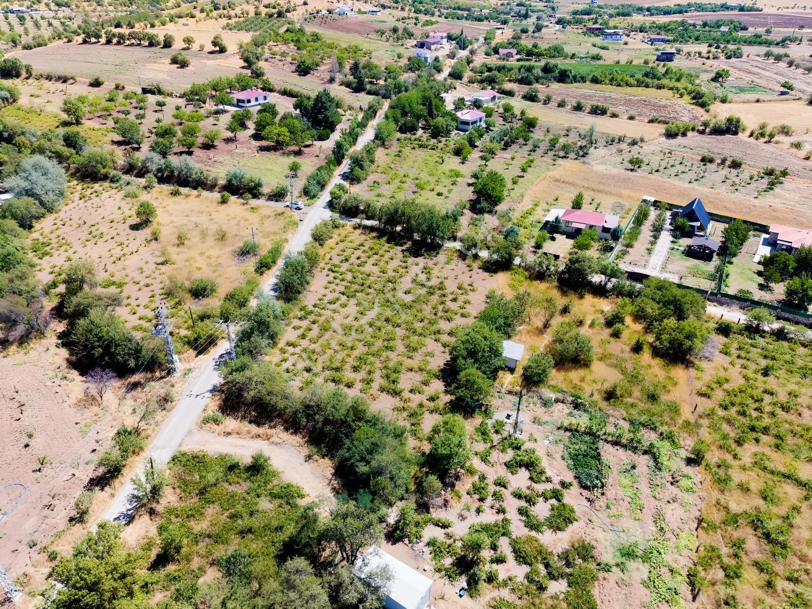 Emre Gm/den Holpenk Demirtaş) Mevkiinde Yolu Asfalt Köşe Parsel — fotoğraf 12