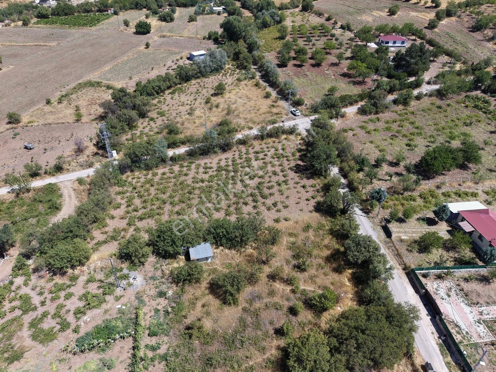 Emre Gm/den Holpenk Demirtaş) Mevkiinde Yolu Asfalt Köşe Parsel — fotoğraf 14