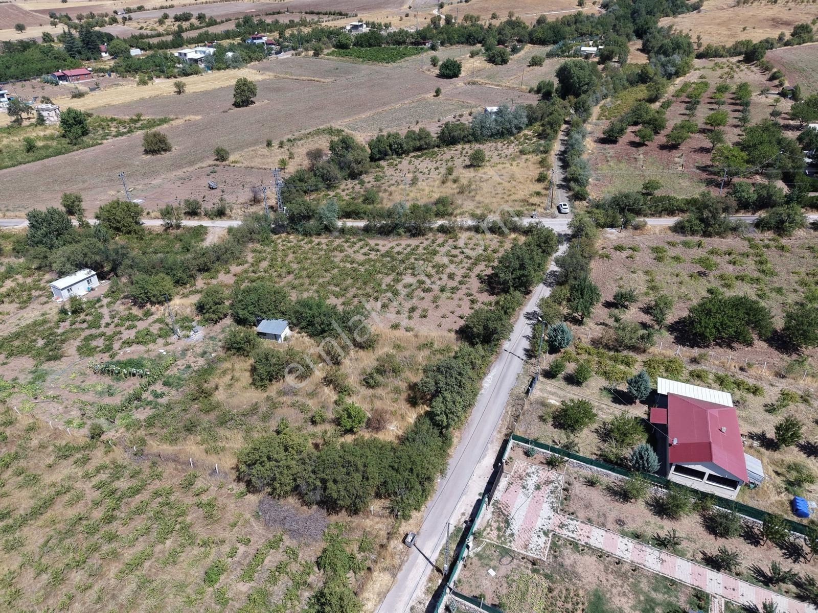 Emre Gm/den Holpenk Demirtaş) Mevkiinde Yolu Asfalt Köşe Parsel — fotoğraf 15