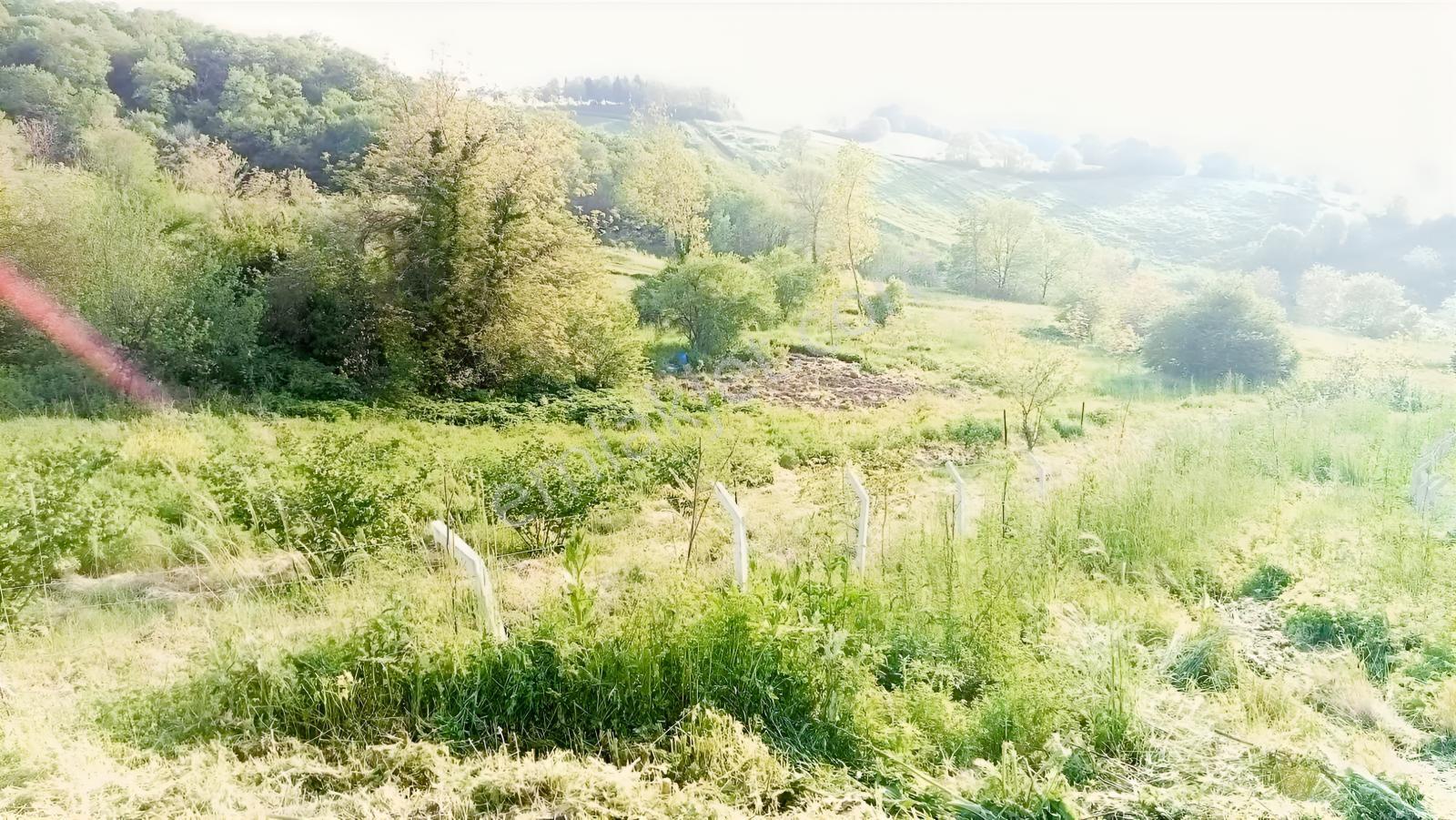 Derince Geredelide 435 M2 Arsa Satılık % 40 İmarlı — fotoğraf 2
