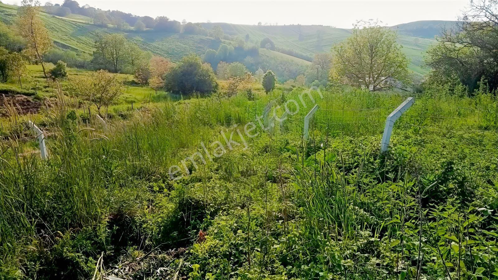 Derince Geredelide 435 M2 Arsa Satılık % 40 İmarlı — fotoğraf 9