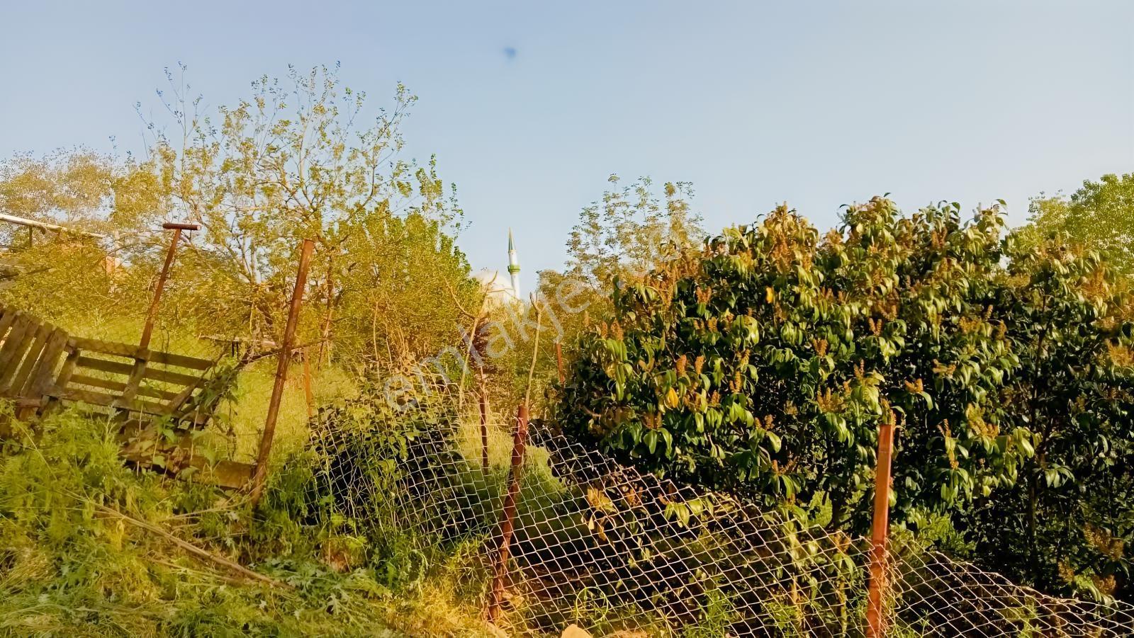 Derince Geredelide 435 M2 Arsa Satılık % 40 İmarlı — fotoğraf 12