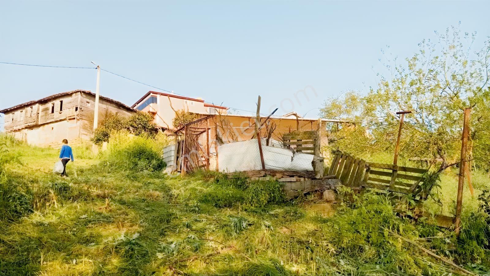 Derince Geredelide 435 M2 Arsa Satılık % 40 İmarlı — fotoğraf 20