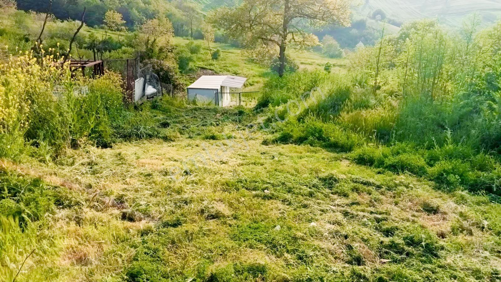 Derince Geredelide 435 M2 Arsa Satılık % 40 İmarlı — fotoğraf 21