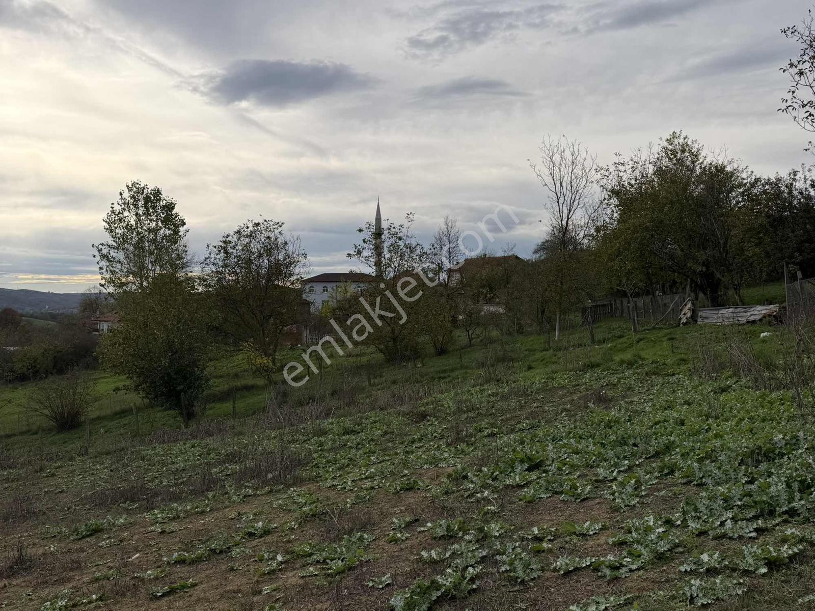 Emlak Team-körfez Sipahiler Merkezde Köyiçi İmarlı Satılık Tarla — fotoğraf 7