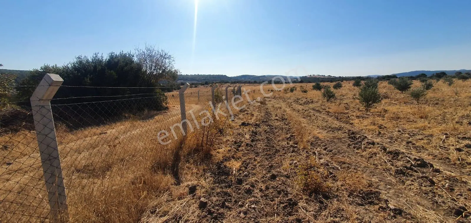 Armağanlarda 97.400 M² | 2.000 Zeytin Ağacı | Yatırımlık — fotoğraf 18