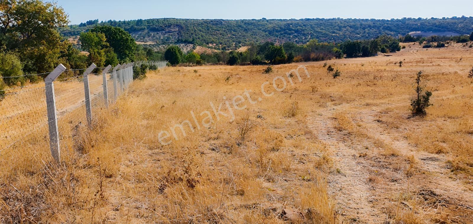 Armağanlarda 97.400 M² | 2.000 Zeytin Ağacı | Yatırımlık — fotoğraf 23