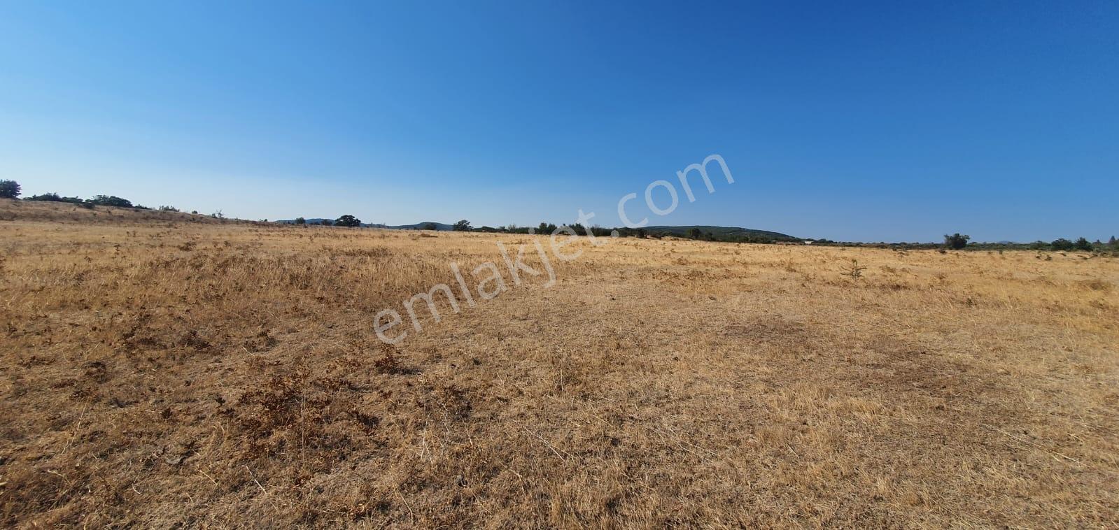 Armağanlarda 97.400 M² | 2.000 Zeytin Ağacı | Yatırımlık — fotoğraf 25
