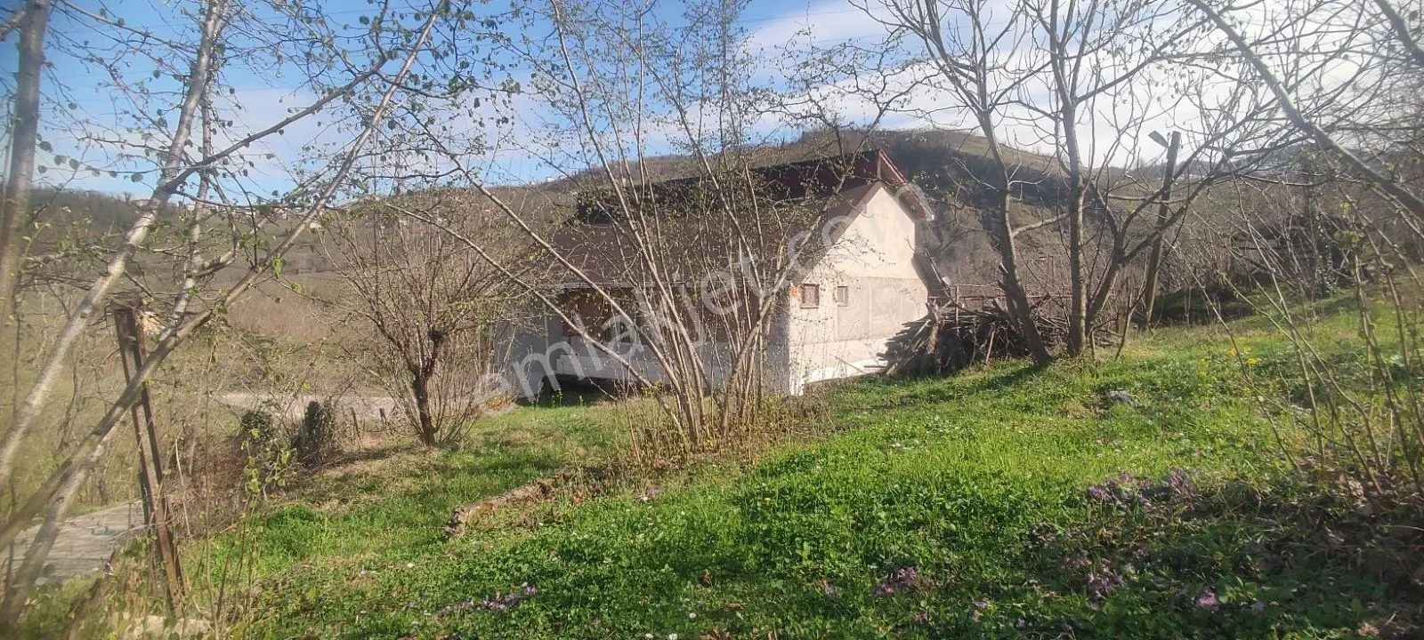 Efsane'den Korgan-kumru Yoluna Cephe Ev Ve Bahçesi — fotoğraf 2