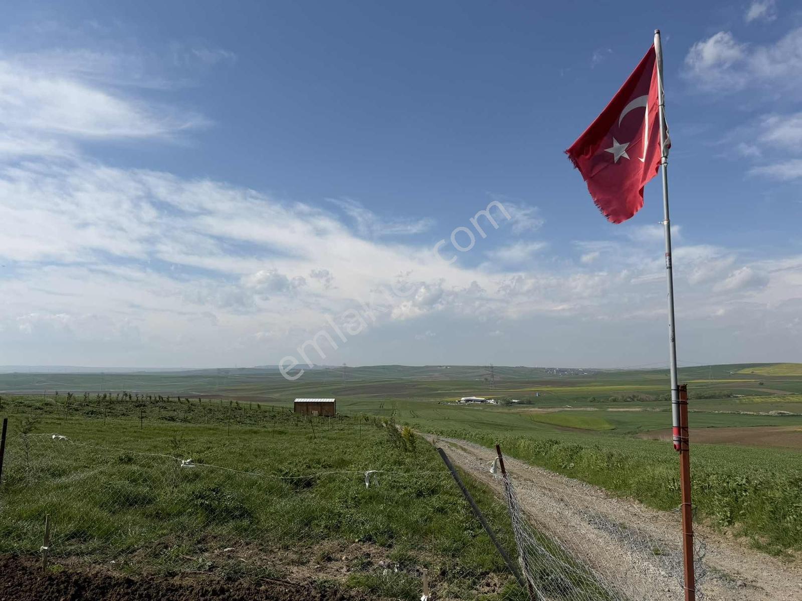 Ed Arsa Ofisi Sahile 5dk Mesafede Taksit İmkanlı Fırsat Arsalar — fotoğraf 10