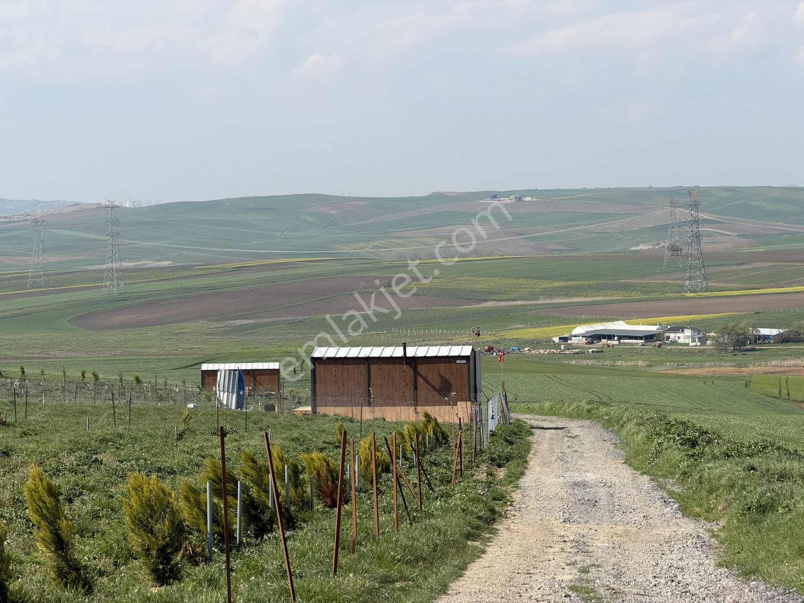 Ed Arsa Ofisi Sahile 5dk Mesafede Taksit İmkanlı Fırsat Arsalar — fotoğraf 11