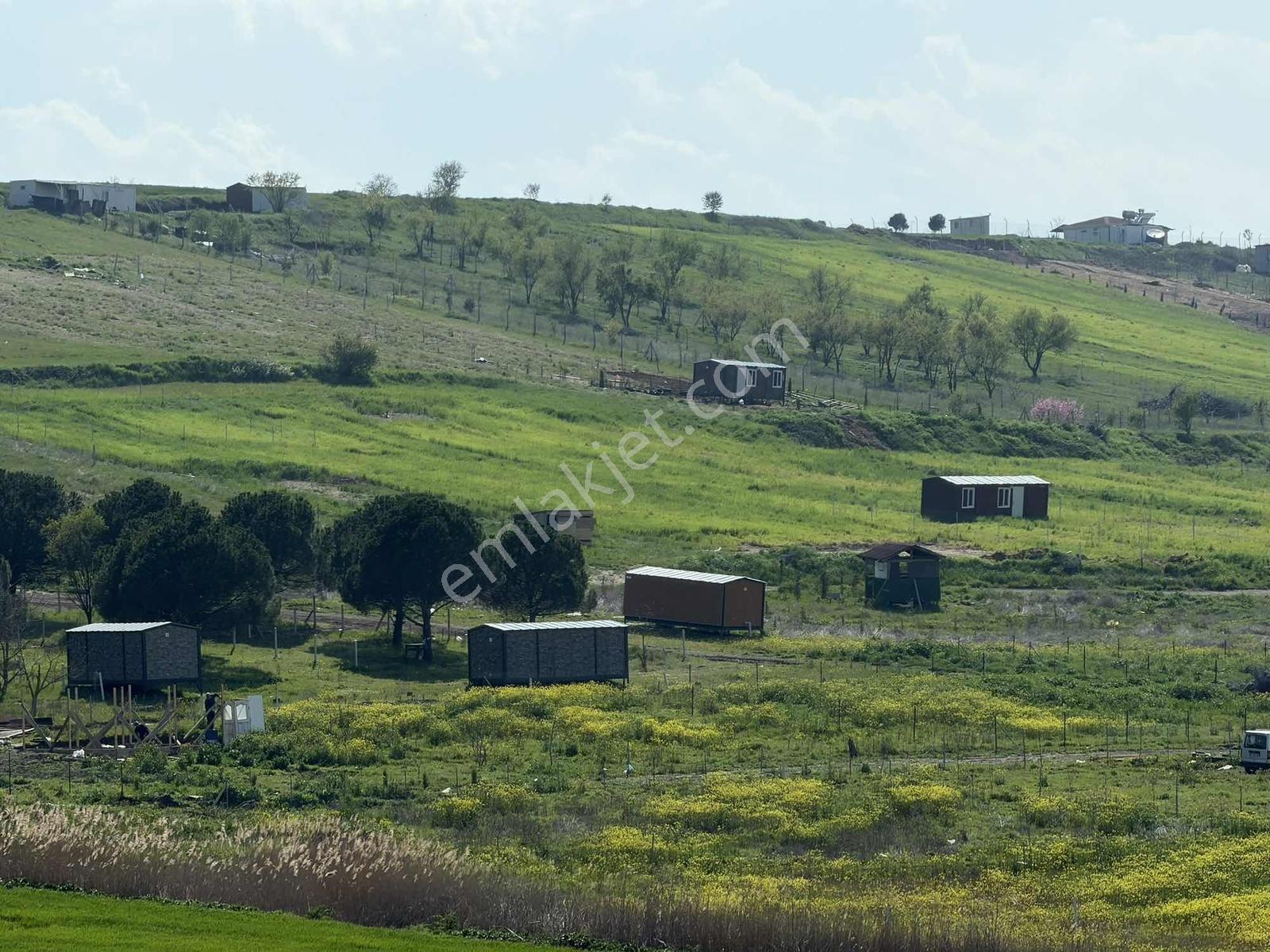 Ed Arsa Ofisi Sahile 5dk Mesafede Taksit İmkanlı Fırsat Arsalar — fotoğraf 17