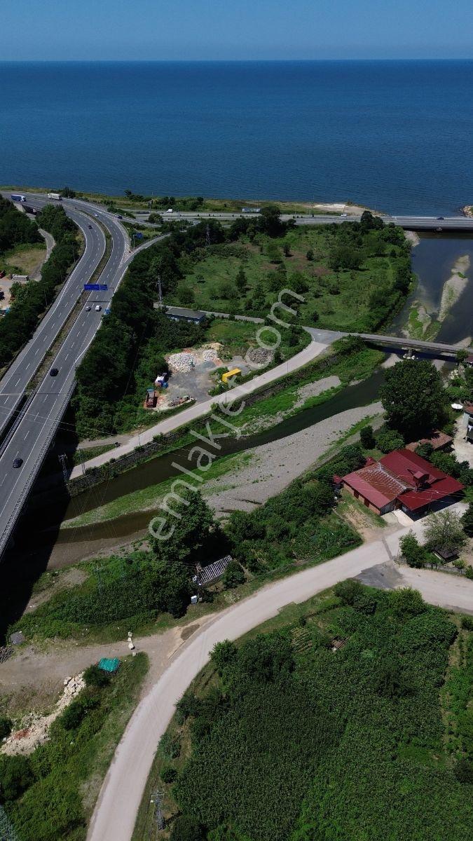 Fatsa Bolamanda Denize Yakın Satılık Arsa — fotoğraf 6