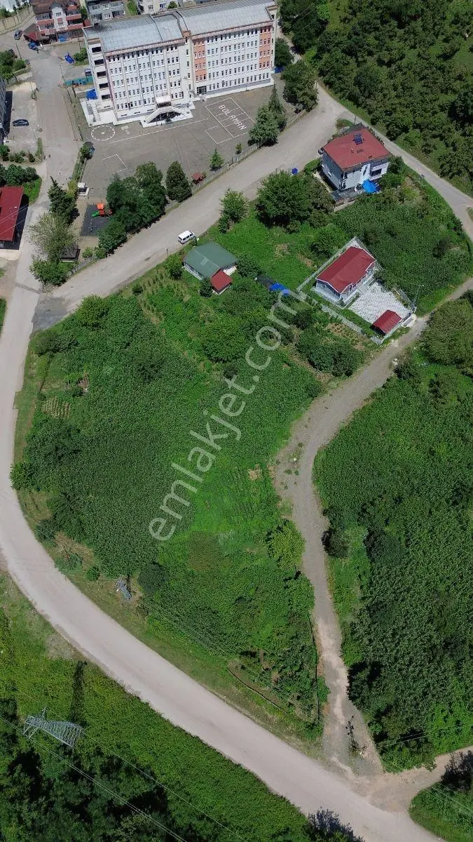 Fatsa Bolamanda 589 M² Satılık Arsa — fotoğraf 2