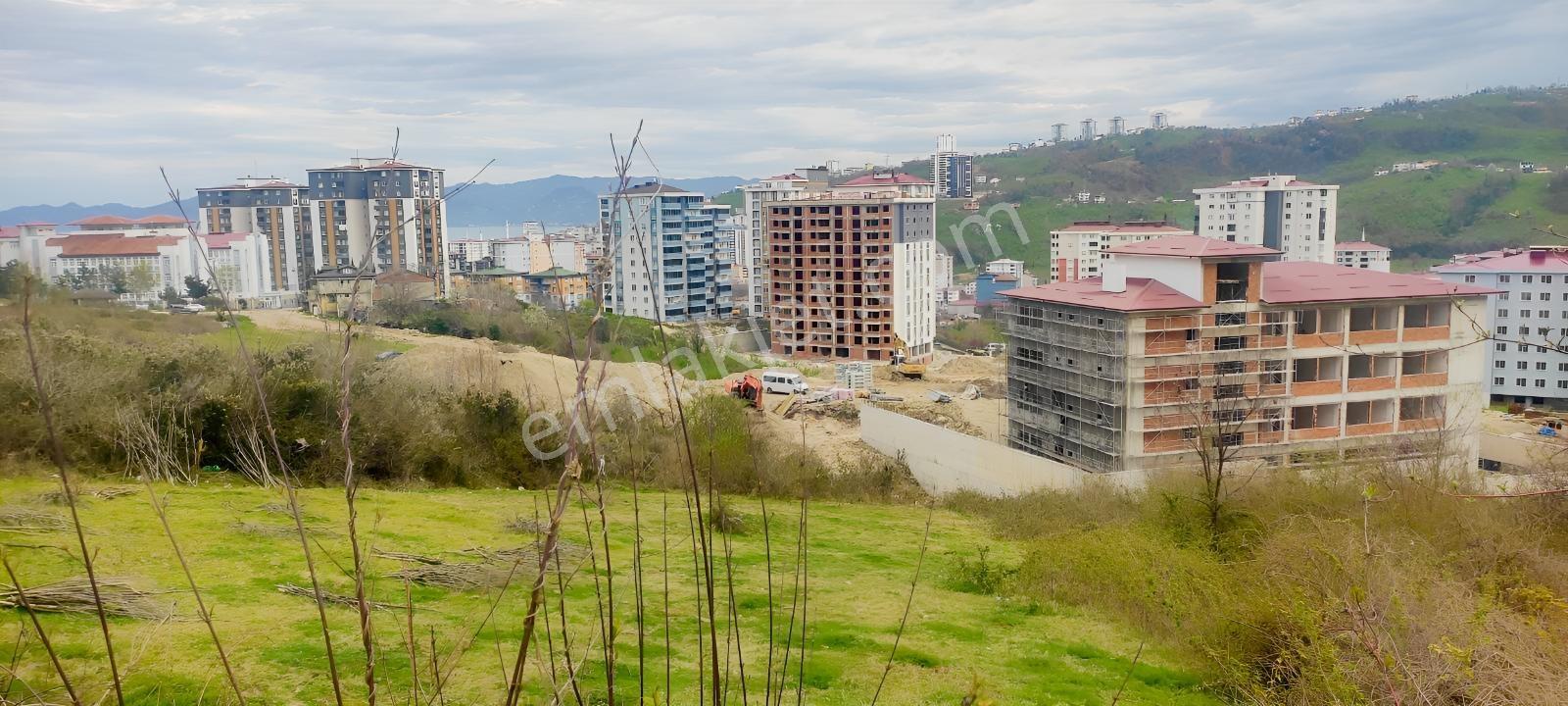 Fatsa Ayazlı'da 550 M² Yatırımlık Arsa — fotoğraf 2