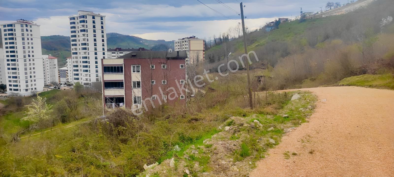 Fatsa Ayazlı'da 550 M² Yatırımlık Arsa — fotoğraf 4
