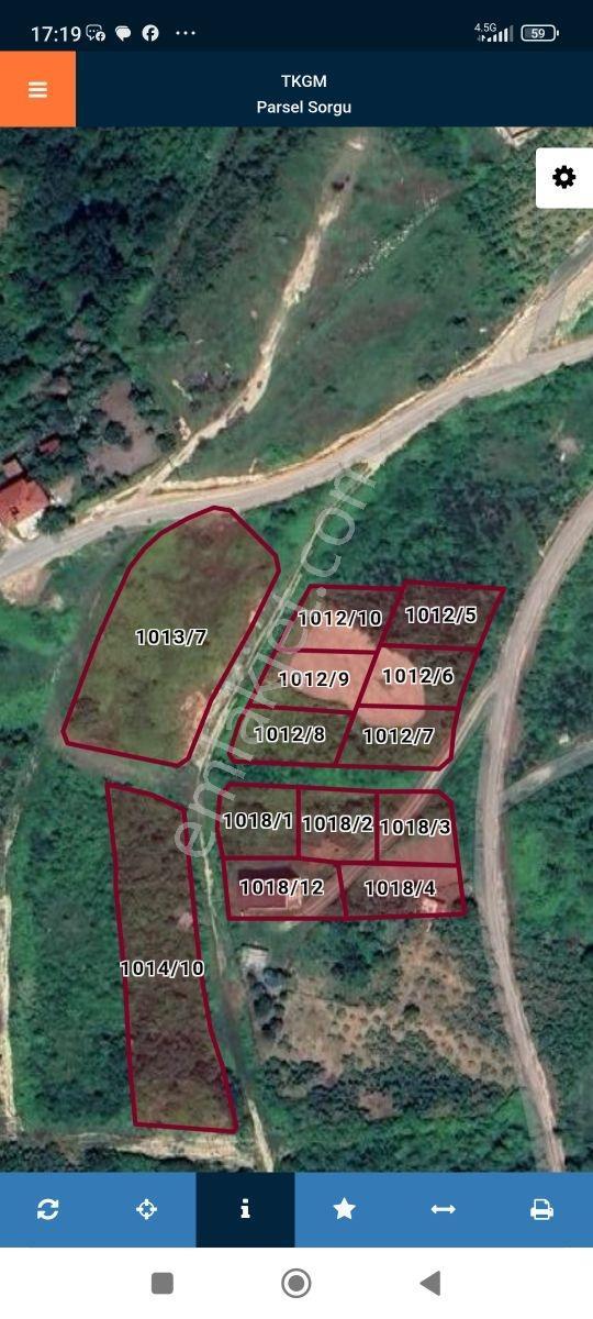 Fatsa Ayazlı'da 550 M² Yatırımlık Arsa — fotoğraf 6