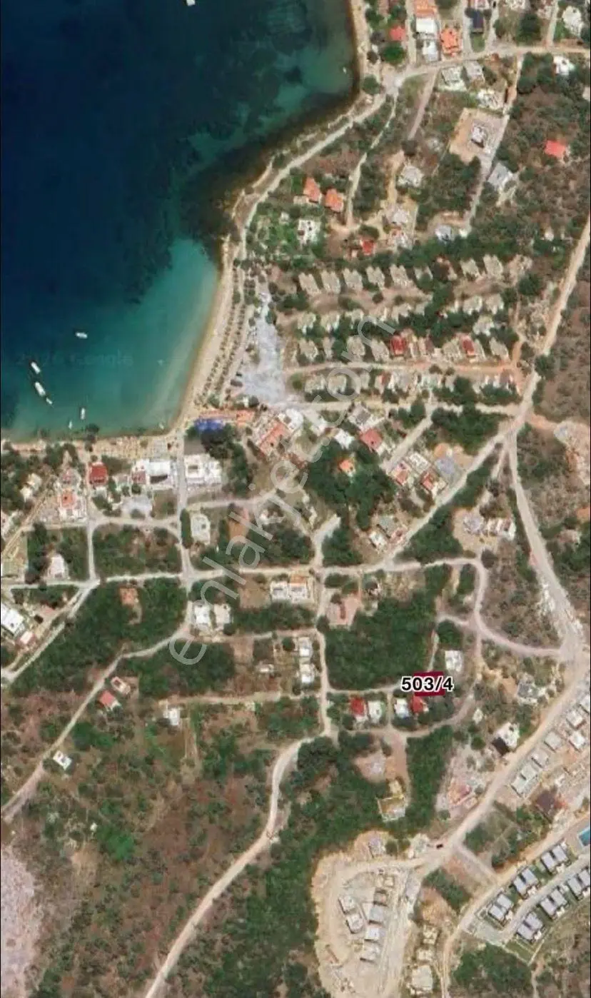 Milas Kıyıkışlacık Zeytinlikuyu Satılık 253m2 Zeytinlik