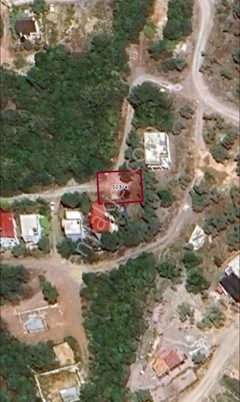 Milas Kıyıkışlacık Zeytinlikuyu Satılık 253m2 Zeytinlik — fotoğraf 2