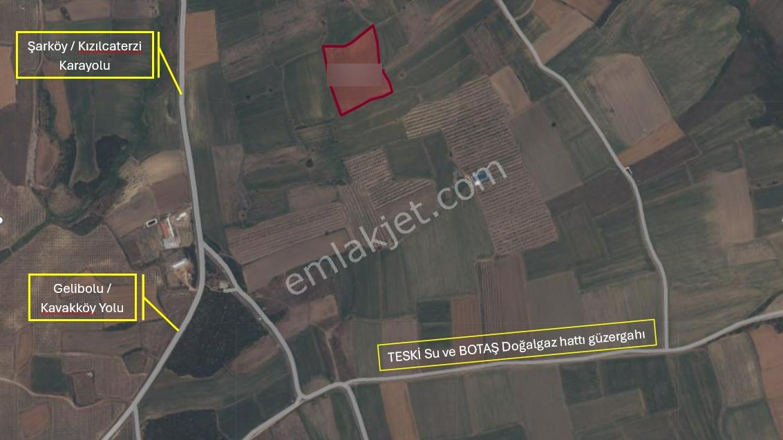 Kaya Emlak- Şarköy Kızılcaterzi Mah.de 15.720 M² Satılık Tarla — fotoğraf 2