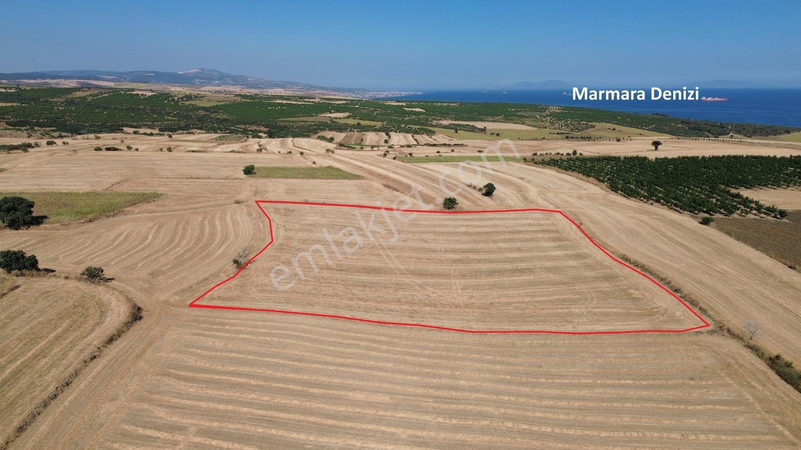 Kaya Emlak- Şarköy Kızılcaterzi Mah.de 15.720 M² Satılık Tarla — fotoğraf 3