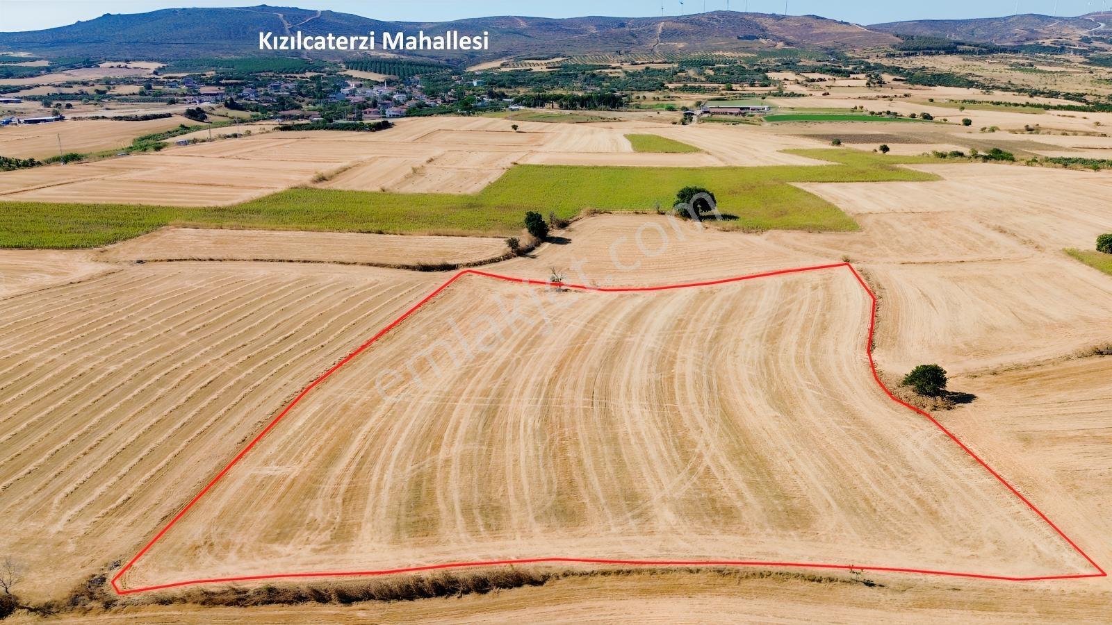 Kaya Emlak- Şarköy Kızılcaterzi Mah.de 15.720 M² Satılık Tarla — fotoğraf 5