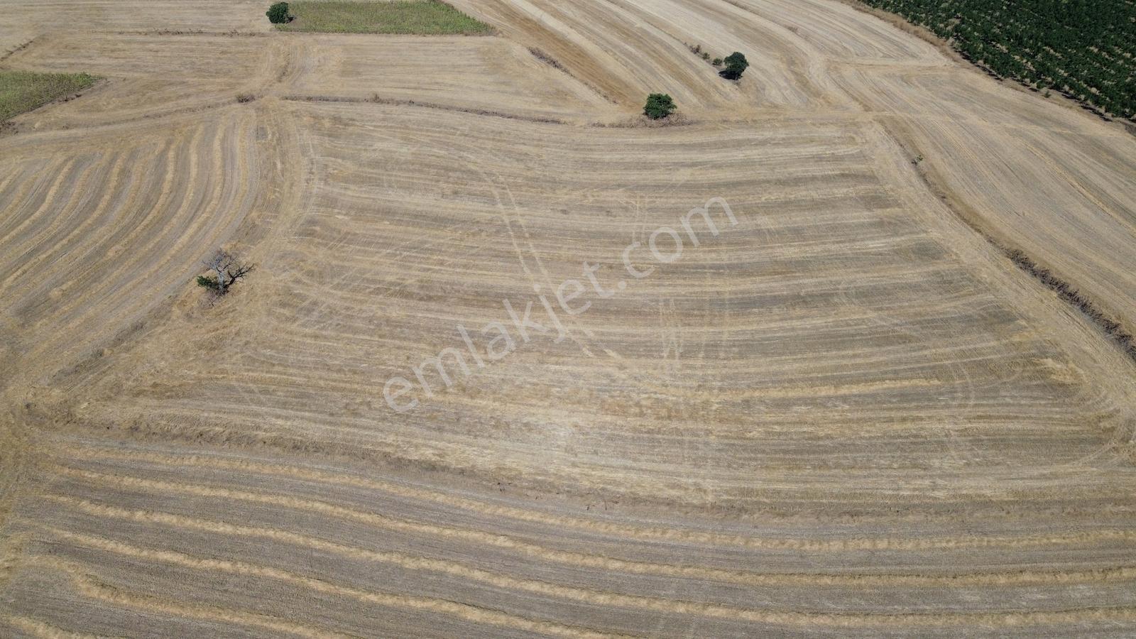 Kaya Emlak- Şarköy Kızılcaterzi Mah.de 15.720 M² Satılık Tarla — fotoğraf 6