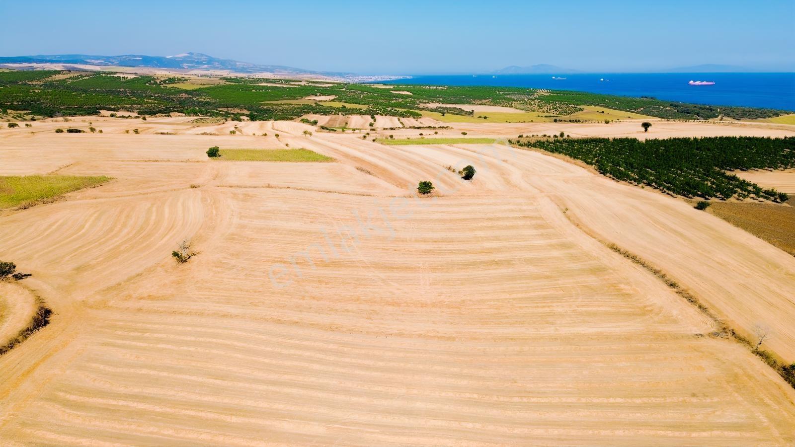 Kaya Emlak- Şarköy Kızılcaterzi Mah.de 15.720 M² Satılık Tarla — fotoğraf 7