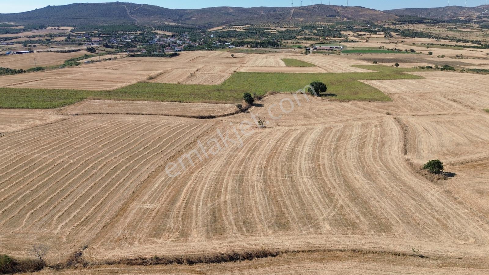Kaya Emlak- Şarköy Kızılcaterzi Mah.de 15.720 M² Satılık Tarla — fotoğraf 9
