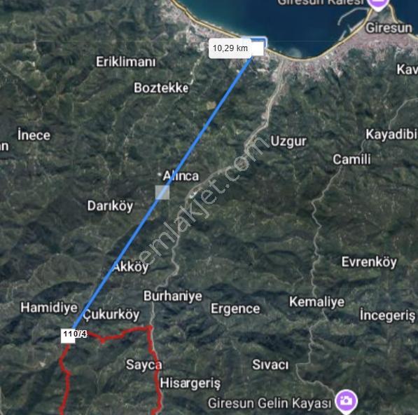 Giresun Merkez Saycada Yol Kenarı 7.580 M² Satılık Fındık Bahçe — fotoğraf 2