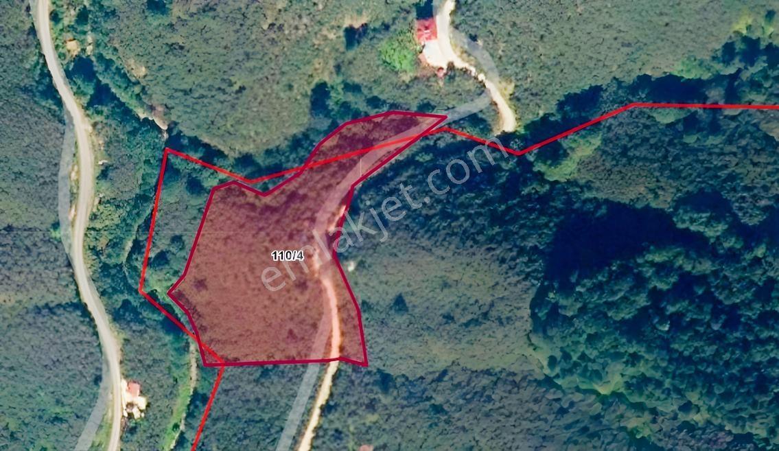 Giresun Merkez Saycada Yol Kenarı 7.580 M² Satılık Fındık Bahçe — fotoğraf 3