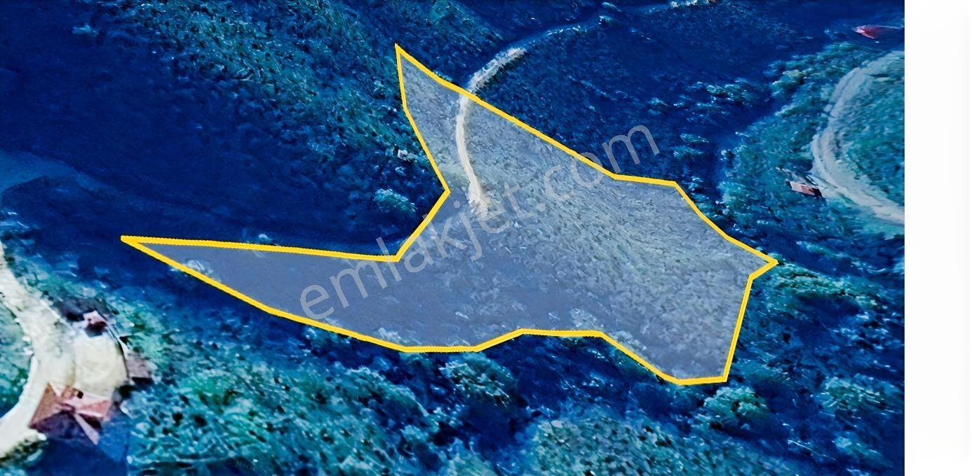 Giresun Merkez Saycada Yol Kenarı 7.580 M² Satılık Fındık Bahçe — fotoğraf 4