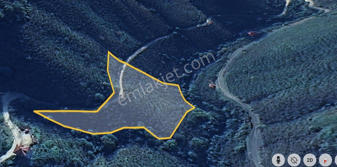 Giresun Merkez Saycada Yol Kenarı 7.580 M² Satılık Fındık Bahçe — fotoğraf 5