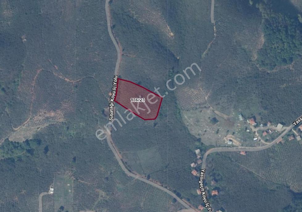 Karasu Yassıgeçit Mahallesinde 7441 M2 İmarlı Fındık Bahçesi