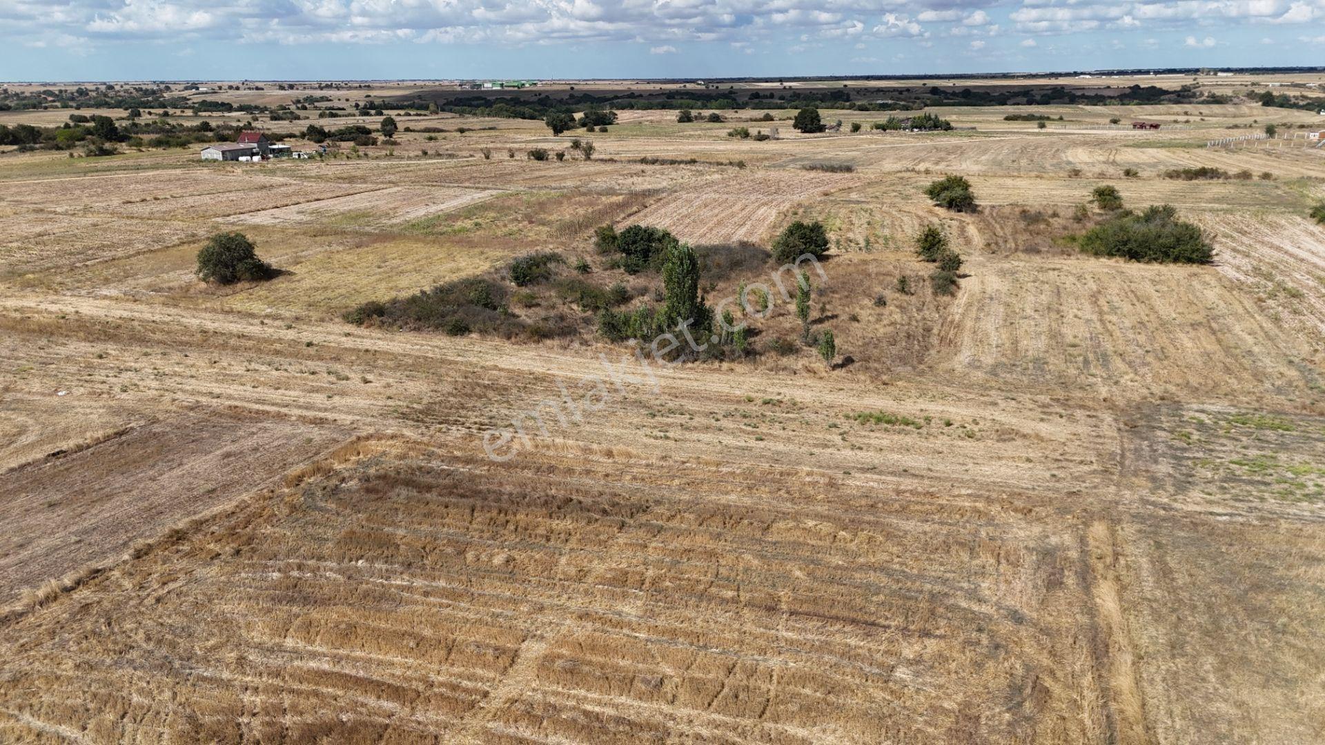 Kırklareli Kavakdere’de Köye Yakın 1.225 M² Satılık Bağyeri — fotoğraf 3